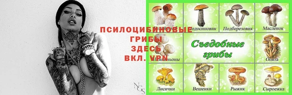 трава Абдулино
