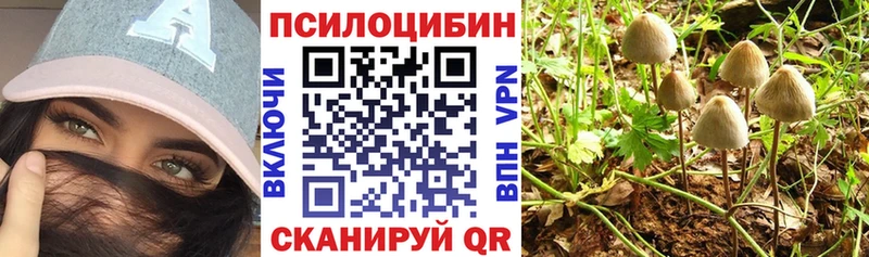 Псилоцибиновые грибы Psilocybine cubensis купить сайты mega вход Заводоуковск
