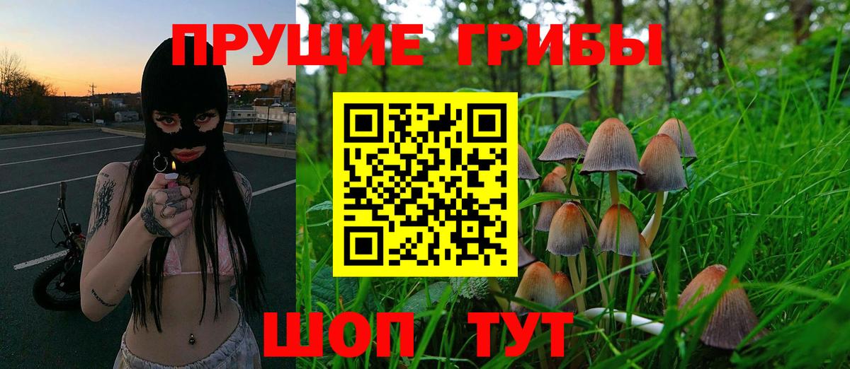 Заводоуковск  Галлюциногенные грибы Magic Shrooms  Вход с VPN 