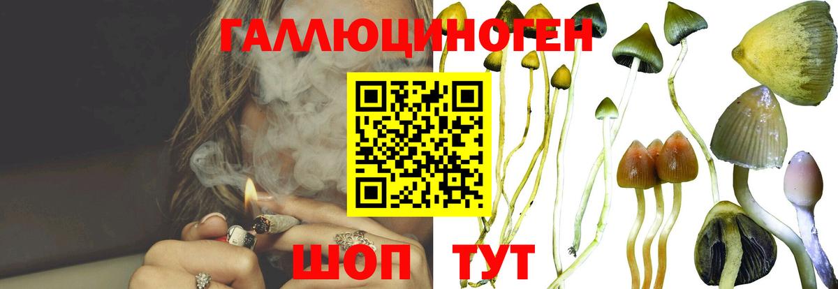 Псилоцибиновые грибы GOLDEN TEACHER Заводоуковск